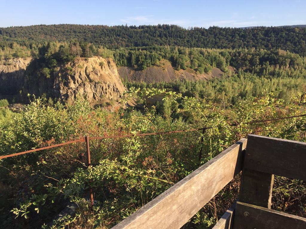 Wolfsbau Ferienwohnung Langelsheim Buitenkant foto